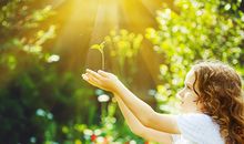 生肖运程：6月份生肖狗运势旺衰大揭密