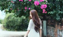 滴天居士2018年4月生肖狗运势