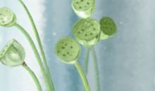 清代皇帝过年传统 御笔赐福