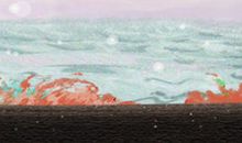 家里放什么利于招财？一招get！