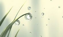 今日宜忌黄历 2021年3月10日是星期几什么日子