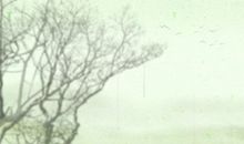 2021年农历正月二十八是什么日子 黄历宜忌每日查询