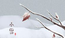 2019年小雪是几月几日几点几分 具体时间