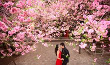 十二生肖九月桃花运势