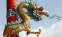 属龙的人的命运，龙年出生的人的命运