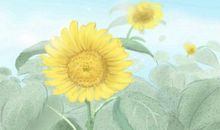 2021年农历二月十九是什么日子 黄历宜忌每日查询