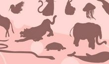 2021年2月纳畜最佳吉日日期有哪几天