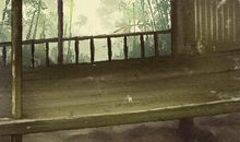 2021年2月份收养黄道吉日一览表 那几天最适合我们