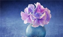 婚后最节俭的3个生肖女