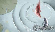 爱情马拉松的星座明星夫妻