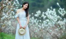 百变巫女12星座运势2.1-2.7