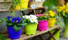 最塔罗运势君今日运势1.30