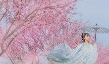 唐绮阳/唐立淇今日运势2021年2月1日