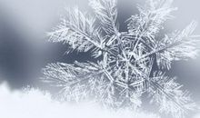 2021年农历四月初五老黄历宜忌 今天日子好吗