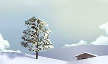 2021年农历四月初四黄道吉日时辰吉凶 今日最好的时辰