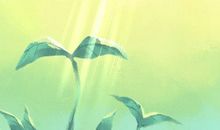 2021年农历四月初五是黄道吉日吗 今日吉时凶时查询