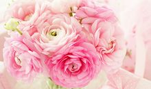 公司起名如何能如虎添翼