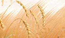 2021年3月24日吉时凶时黄历查询 今天是黄道吉日吗