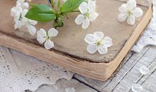 小吃店该怎么起名?