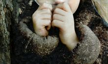 【箬耶】一周星座运势播报2011年12月12日—12月18日