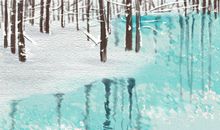 2017大雪是几月几日，2017年大雪是哪天？