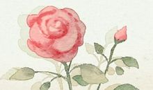 正月有哪些佛菩萨节日 注意事项