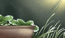 春节顺口溜 祝福语顺口溜