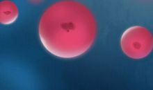 腊月什么时候可以扫房 正月哪天不能扫房子