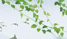 大年初七能拜年吗 是黄道吉日吗