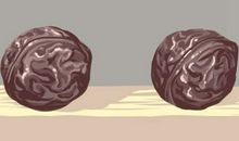 正月拜年送什么给父母长辈