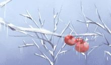 初二不能洗头洗澡吗 注意事项