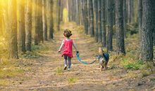 带萍字好听的名字大全