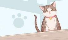 初二拜年是什么梗 有什么说法