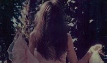 给处女座的第962封信