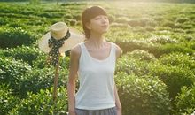 给射手座的第974封信
