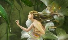 给处女座的第476封信