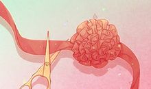 属狗人2021年公历12月适合开业的黄道吉日查询