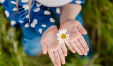 新年书房装修风水