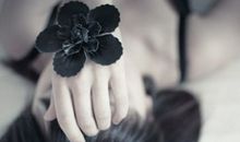给处女座的第96封信