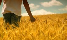 大门装修的八大风水法则