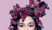 给金牛座的第943封信