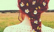 给金牛座的第933封信