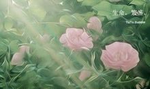 代表双子座男女的色彩