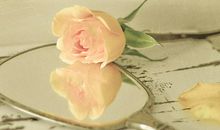 代表金牛座男女的色彩