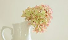 代表摩羯座男女的色彩