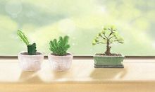 正月初五出行好不好2021年 大年初五出行日子好吗