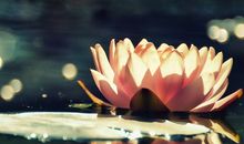 代表天秤座男女的色彩