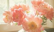 代表天蝎座男女的色彩