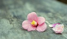 代表巨蟹座男女的色彩