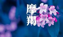 摩羯座对什么样的生活心驰神往